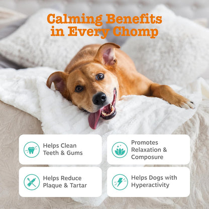 Calming Orastix for Dogs - Dental Sticks for Stress and Anxiety Relief with Hemp Melatonin Chamomile Dog Tartar Teeth Cleaning Calm Composure for Fireworks and Thunderstorms
